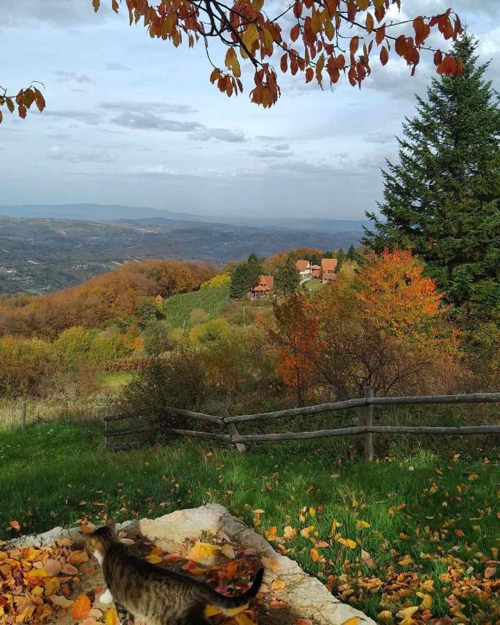Apartmani Planinska Kuca, Jagodnja Krupanj Luaran gambar