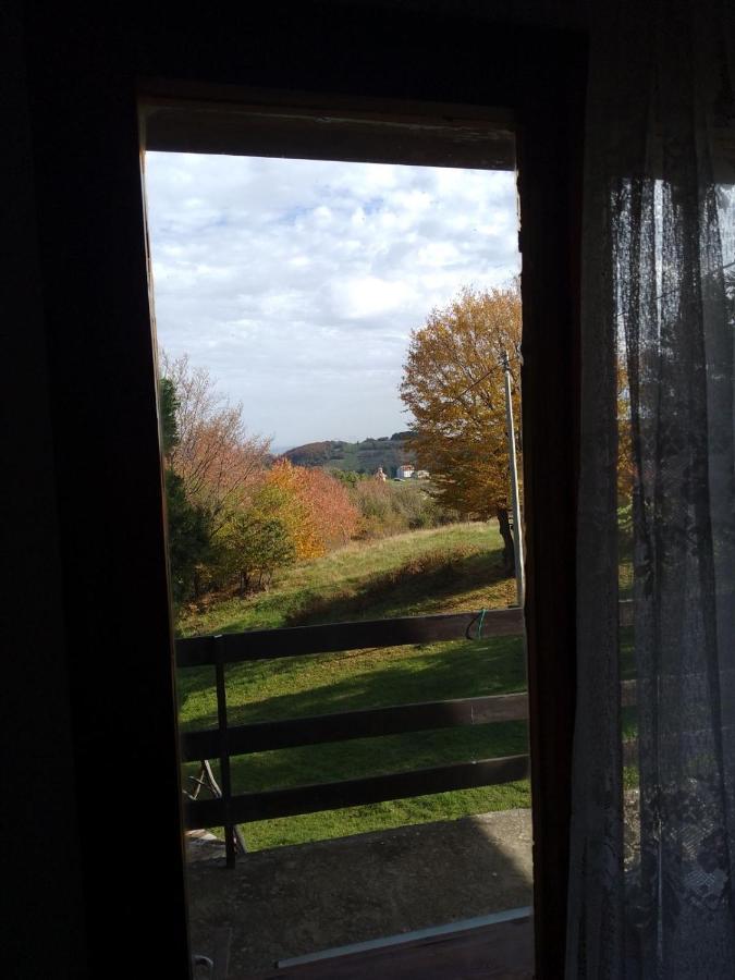 Apartmani Planinska Kuca, Jagodnja Krupanj Luaran gambar