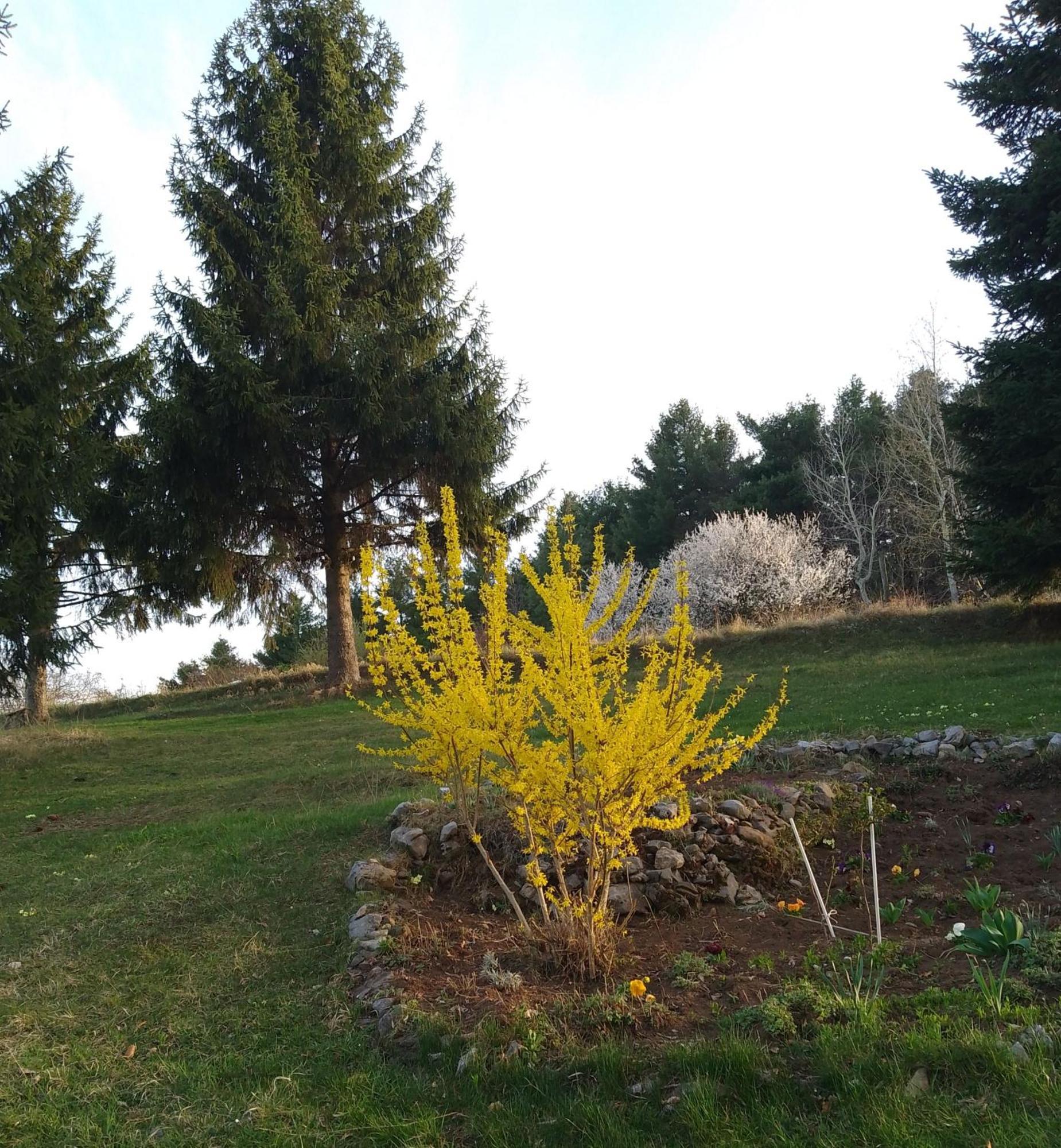 Apartmani Planinska Kuca, Jagodnja Krupanj Luaran gambar