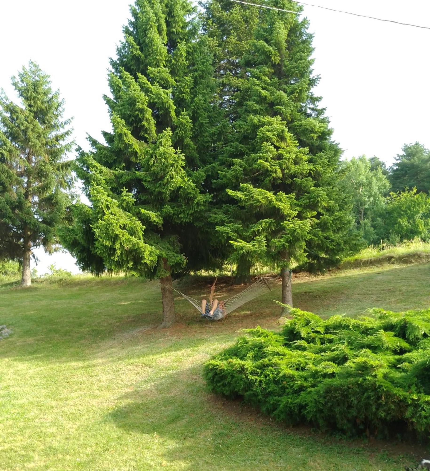 Apartmani Planinska Kuca, Jagodnja Krupanj Luaran gambar